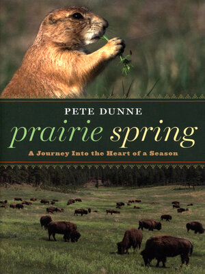 cover image of Prairie Spring